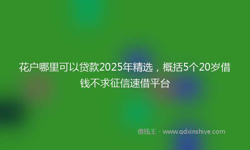 花户哪里可以贷款2025年精选，概括5个20岁借钱不求征信速借平台
