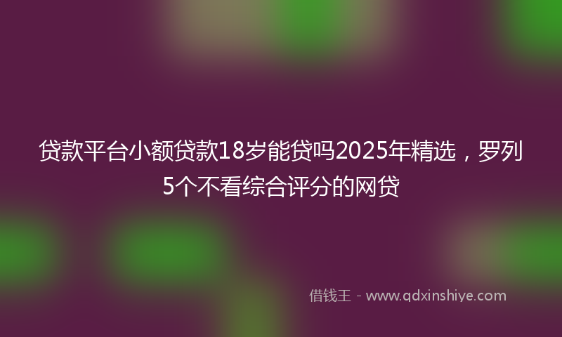 贷款平台小额贷款18岁能贷吗2025年精选，罗列5个不看综合评分的网贷