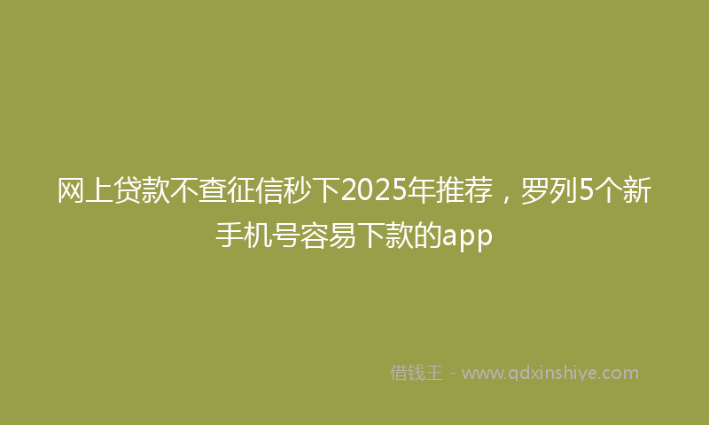 网上贷款不查征信秒下2025年推荐，罗列5个新手机号容易下款的app