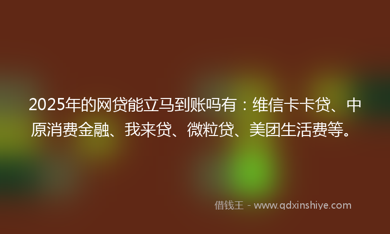 2025年的网贷能立马到账吗有：维信卡卡贷、中原消费金融、我来贷、微粒贷、美团生活费等。