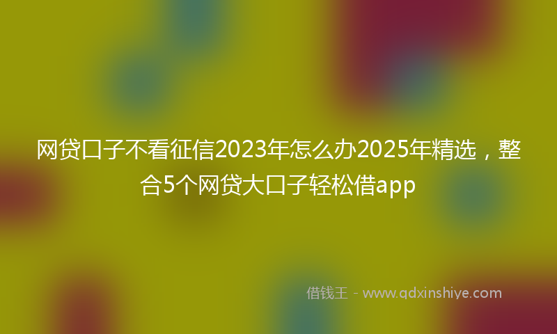 网贷口子不看征信2023年怎么办2025年精选，整合5个网贷大口子轻松借app