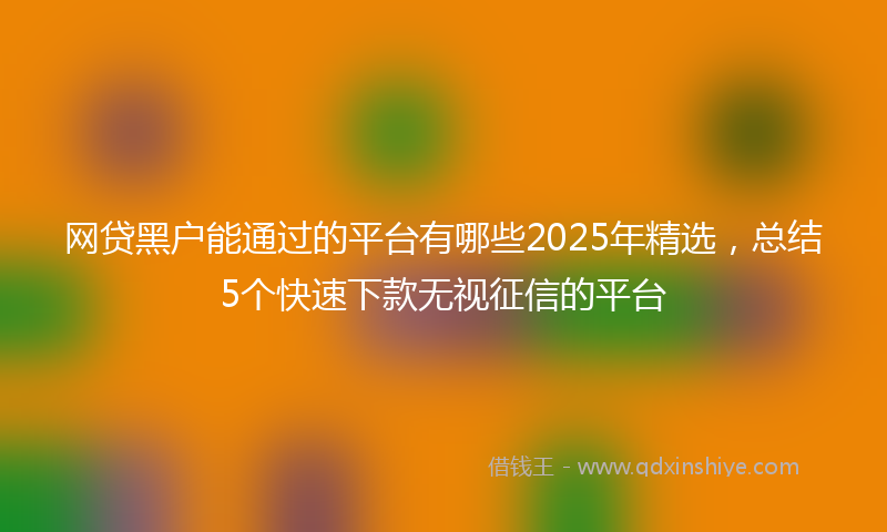 网贷黑户能通过的平台有哪些2025年精选，总结5个快速下款无视征信的平台