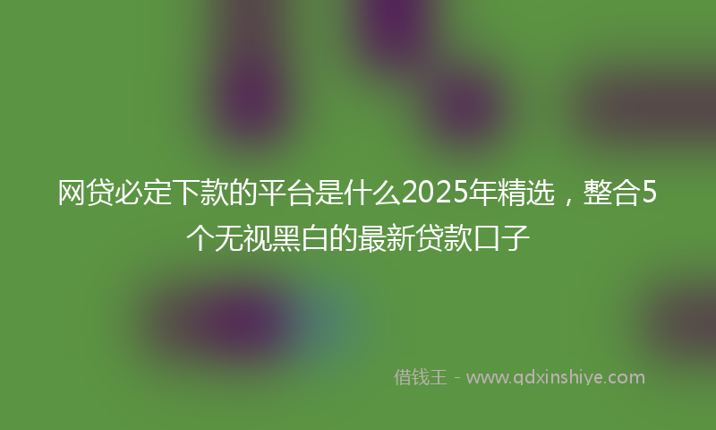 网贷必定下款的平台是什么2025年精选，整合5个无视黑白的最新贷款口子