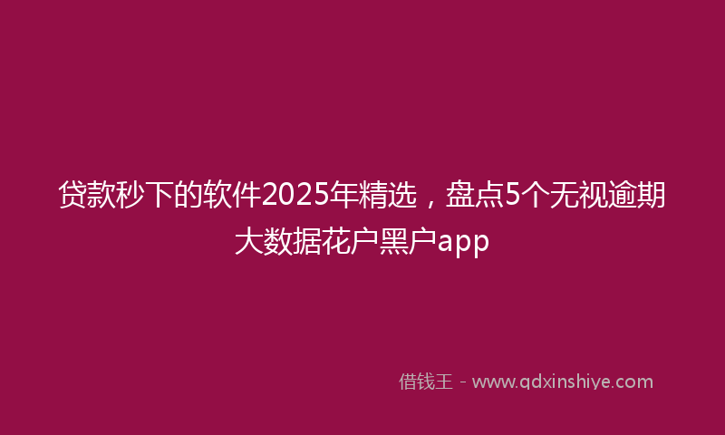 贷款秒下的软件2025年精选，盘点5个无视逾期大数据花户黑户app