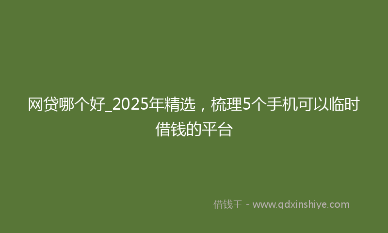 网贷哪个好_2025年精选，梳理5个手机可以临时借钱的平台