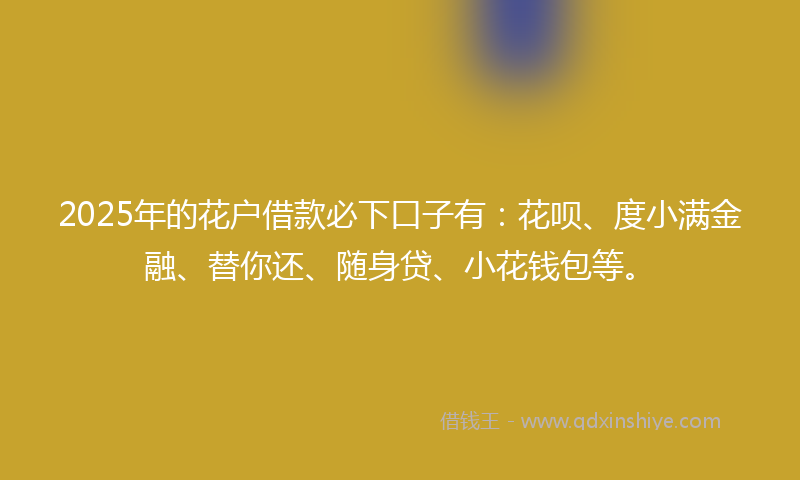 2025年的花户借款必下口子有：花呗、度小满金融、替你还、随身贷、小花钱包等。