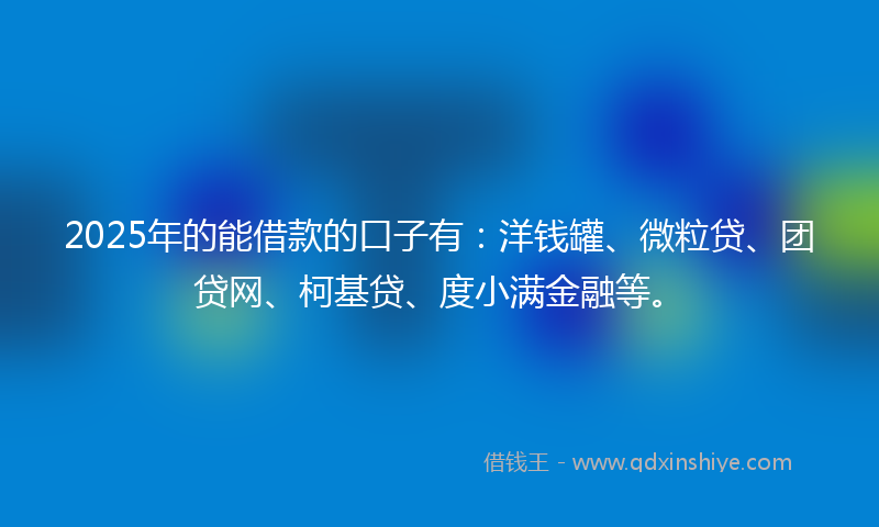 2025年的能借款的口子有：洋钱罐、微粒贷、团贷网、柯基贷、度小满金融等。