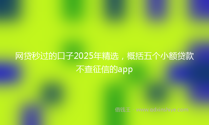 网贷秒过的口子2025年精选，概括五个小额贷款不查征信的app