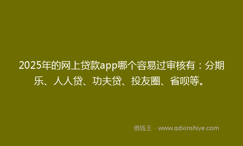 2025年的网上贷款app哪个容易过审核有：分期乐、人人贷、功夫贷、投友圈、省呗等。