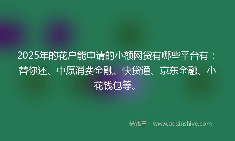 2025年的花户能申请的小额网贷有哪些平台有：替你还、中原消费金融、快贷通、京东金融、小花钱包等。