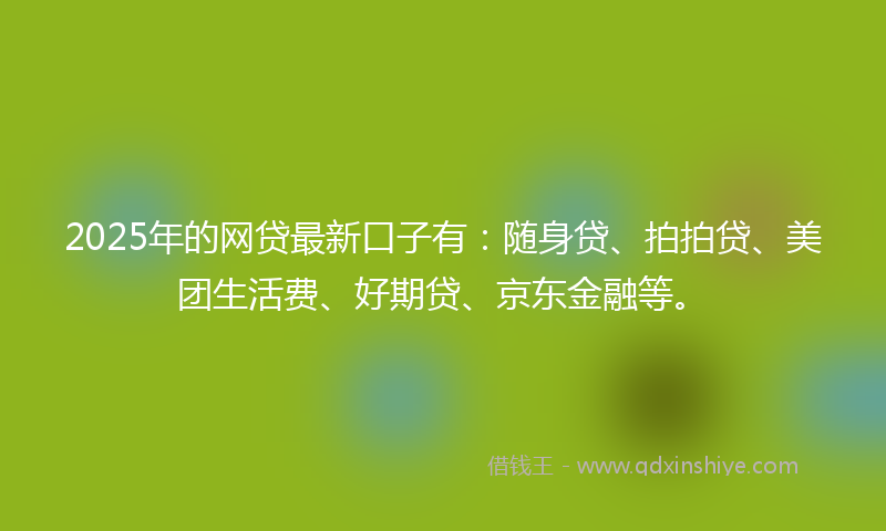 2025年的网贷最新口子有：随身贷、拍拍贷、美团生活费、好期贷、京东金融等。