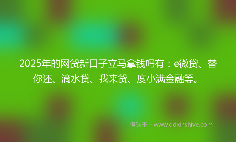 2025年的网贷新口子立马拿钱吗有：e微贷、替你还、滴水贷、我来贷、度小满金融等。