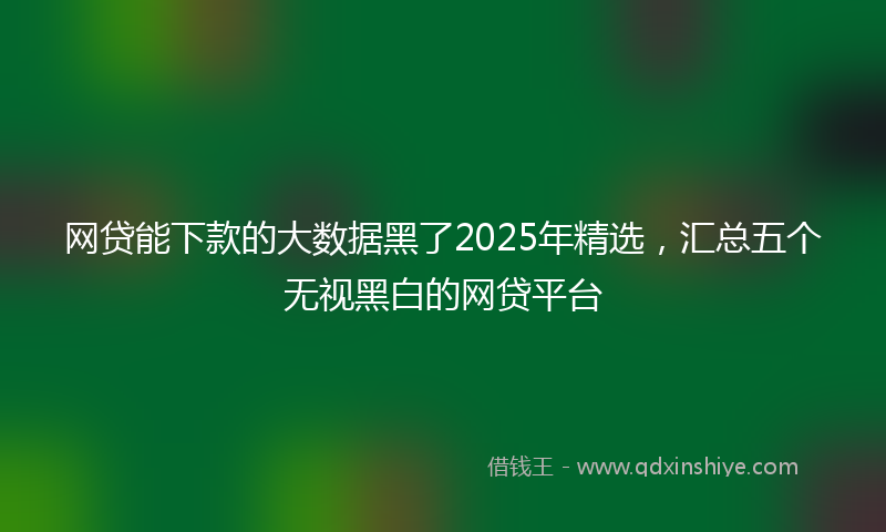 网贷能下款的大数据黑了2025年精选，汇总五个无视黑白的网贷平台