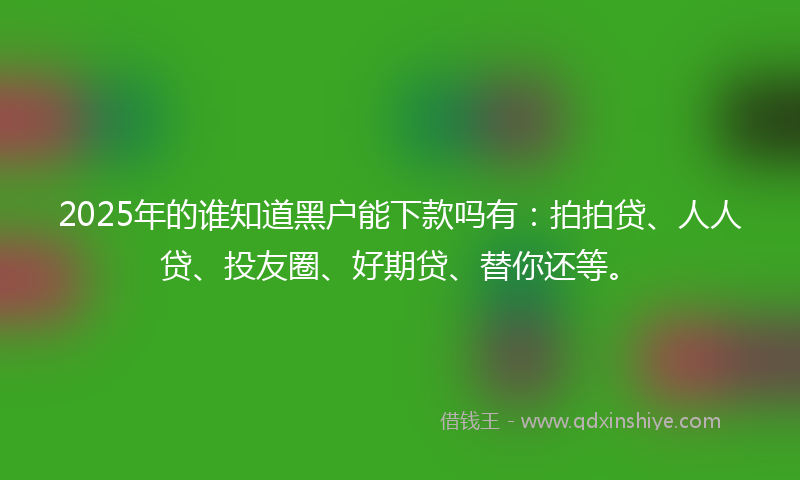 2025年的谁知道黑户能下款吗有：拍拍贷、人人贷、投友圈、好期贷、替你还等。