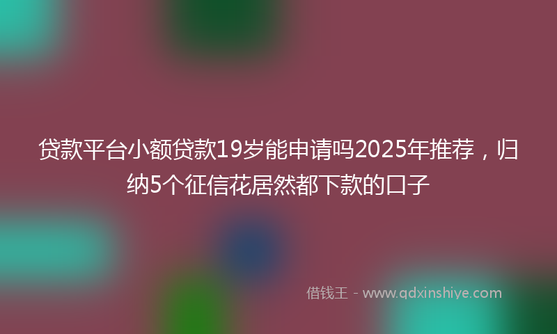 贷款平台小额贷款19岁能申请吗2025年推荐，归纳5个征信花居然都下款的口子