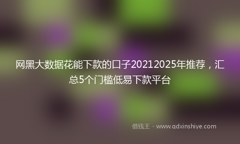 网黑大数据花能下款的口子20212025年推荐，汇总5个门槛低易下款平台