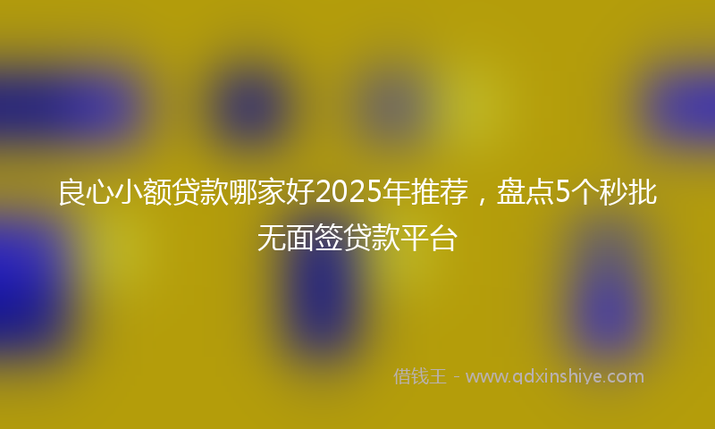 良心小额贷款哪家好2025年推荐，盘点5个秒批无面签贷款平台