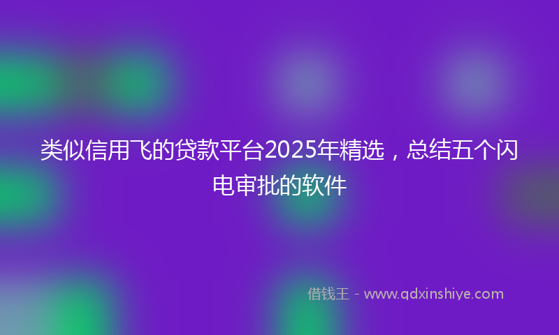 类似信用飞的贷款平台2025年精选，总结五个闪电审批的软件