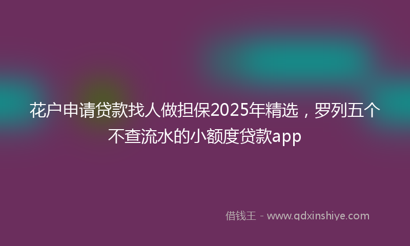 花户申请贷款找人做担保2025年精选，罗列五个不查流水的小额度贷款app