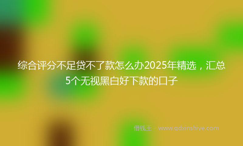 综合评分不足贷不了款怎么办2025年精选，汇总5个无视黑白好下款的口子
