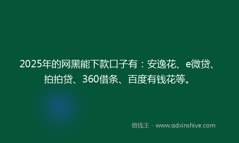 2025年的网黑能下款口子有：安逸花、e微贷、拍拍贷、360借条、百度有钱花等。