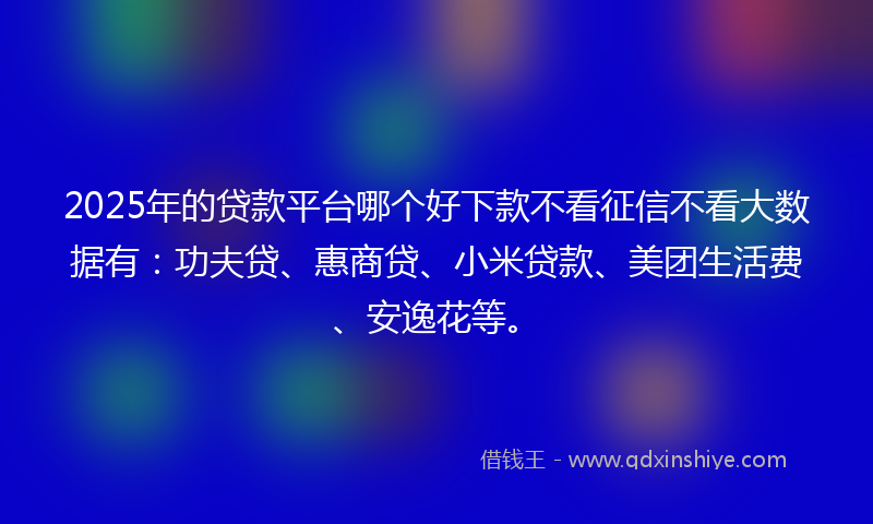 2025年的贷款平台哪个好下款不看征信不看大数据有：功夫贷、惠商贷、小米贷款、美团生活费、安逸花等。