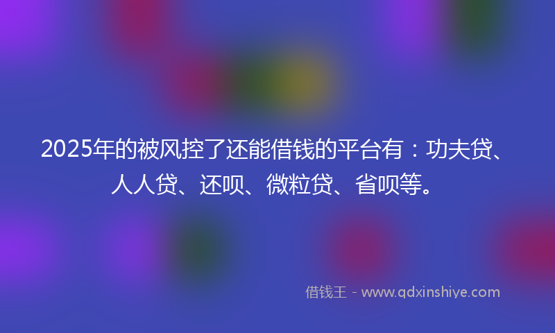2025年的被风控了还能借钱的平台有：功夫贷、人人贷、还呗、微粒贷、省呗等。