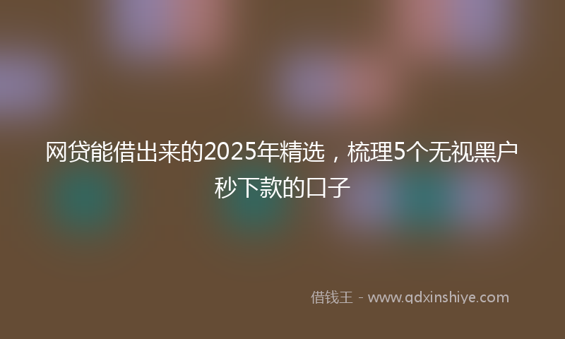 网贷能借出来的2025年精选，梳理5个无视黑户秒下款的口子