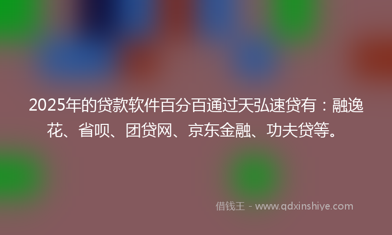 2025年的贷款软件百分百通过天弘速贷有：融逸花、省呗、团贷网、京东金融、功夫贷等。
