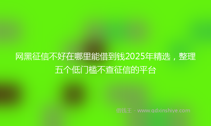 网黑征信不好在哪里能借到钱2025年精选，整理五个低门槛不查征信的平台