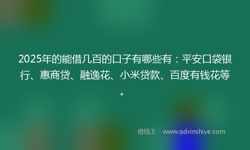 2025年的能借几百的口子有哪些有：平安口袋银行、惠商贷、融逸花、小米贷款、百度有钱花等。