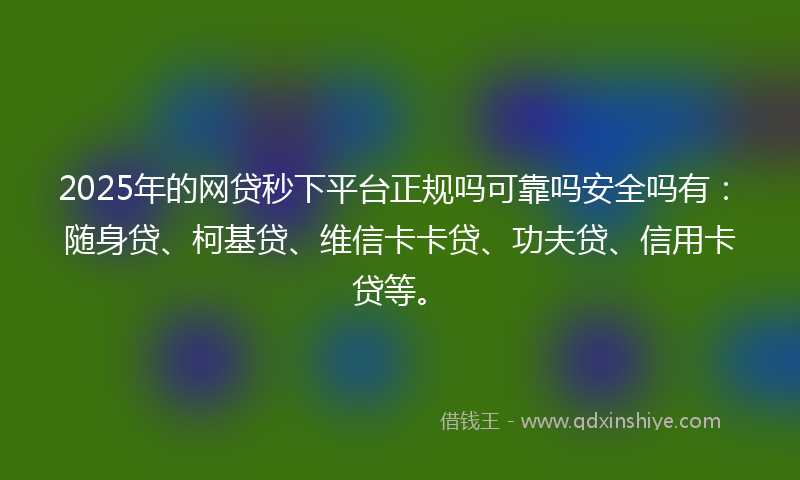 2025年的网贷秒下平台正规吗可靠吗安全吗有：随身贷、柯基贷、维信卡卡贷、功夫贷、信用卡贷等。