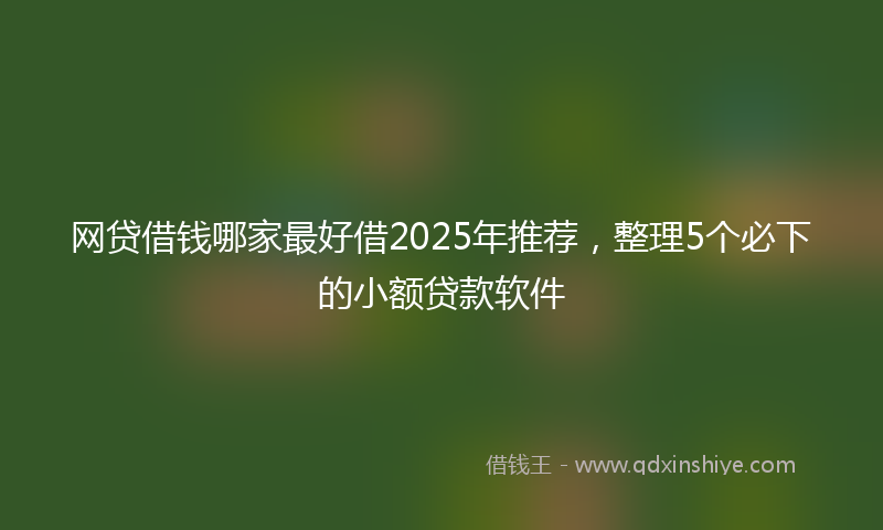 网贷借钱哪家最好借2025年推荐，整理5个必下的小额贷款软件