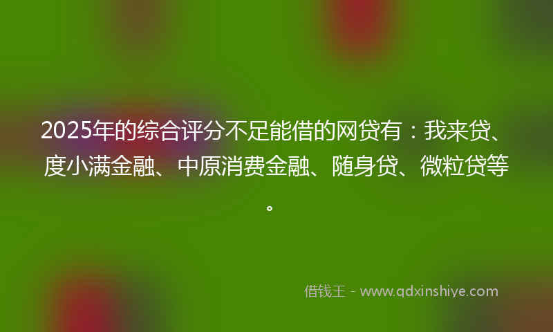 2025年的综合评分不足能借的网贷有：我来贷、度小满金融、中原消费金融、随身贷、微粒贷等。
