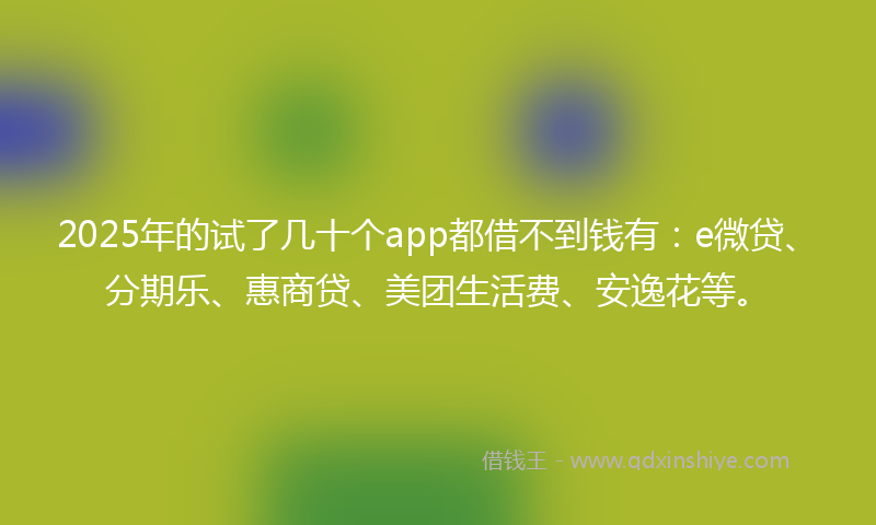 2025年的试了几十个app都借不到钱有：e微贷、分期乐、惠商贷、美团生活费、安逸花等。