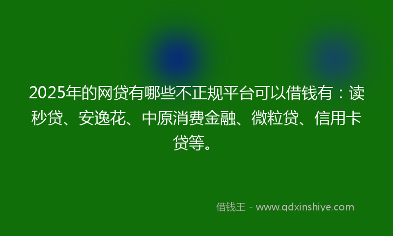 2025年的网贷有哪些不正规平台可以借钱有：读秒贷、安逸花、中原消费金融、微粒贷、信用卡贷等。