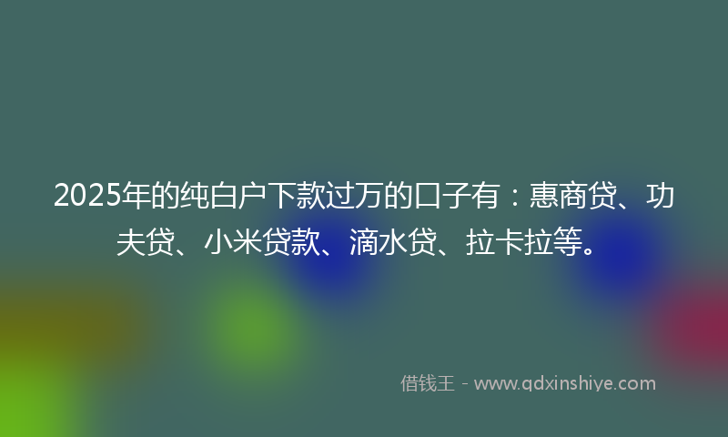 2025年的纯白户下款过万的口子有：惠商贷、功夫贷、小米贷款、滴水贷、拉卡拉等。