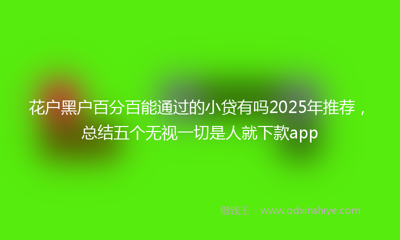 花户黑户百分百能通过的小贷有吗2025年推荐，总结五个无视一切是人就下款app