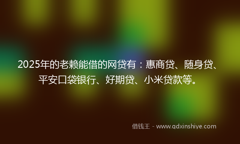 2025年的老赖能借的网贷有：惠商贷、随身贷、平安口袋银行、好期贷、小米贷款等。