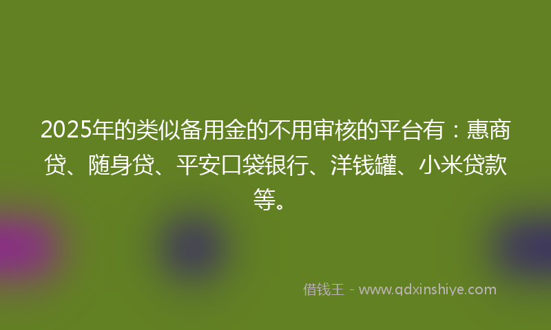 2025年的类似备用金的不用审核的平台有：惠商贷、随身贷、平安口袋银行、洋钱罐、小米贷款等。