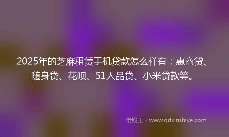 2025年的芝麻租赁手机贷款怎么样有：惠商贷、随身贷、花呗、51人品贷、小米贷款等。