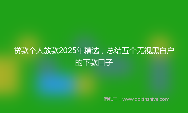 贷款个人放款2025年精选，总结五个无视黑白户的下款口子