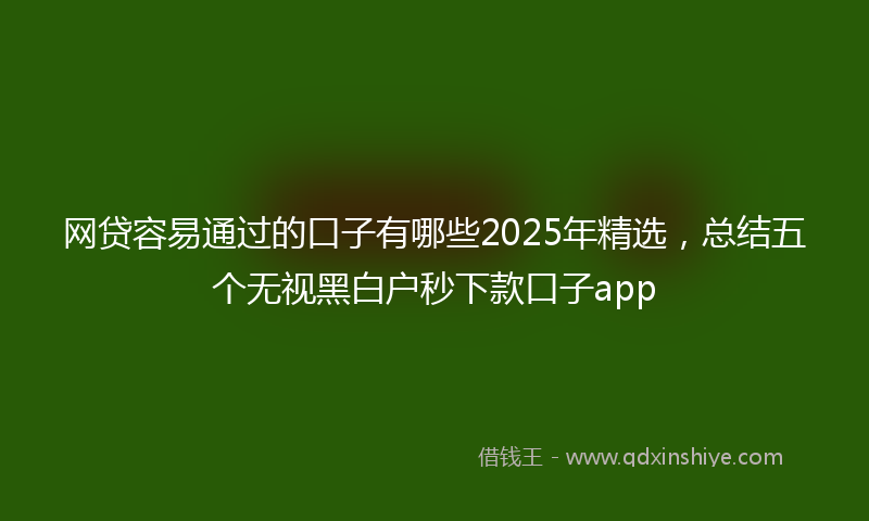 网贷容易通过的口子有哪些2025年精选，总结五个无视黑白户秒下款口子app