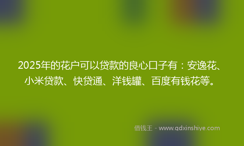 2025年的花户可以贷款的良心口子有：安逸花、小米贷款、快贷通、洋钱罐、百度有钱花等。