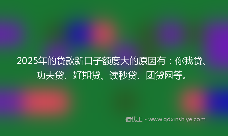2025年的贷款新口子额度大的原因有：你我贷、功夫贷、好期贷、读秒贷、团贷网等。