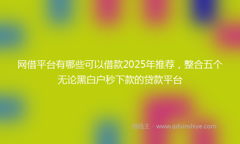 网借平台有哪些可以借款2025年推荐，整合五个无论黑白户秒下款的贷款平台