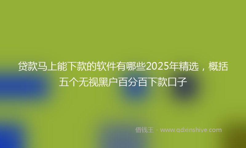贷款马上能下款的软件有哪些2025年精选，概括五个无视黑户百分百下款口子