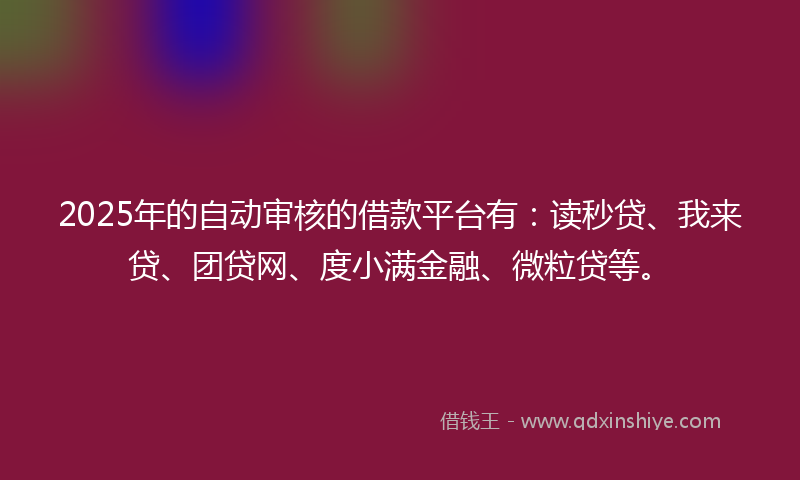 2025年的自动审核的借款平台有：读秒贷、我来贷、团贷网、度小满金融、微粒贷等。