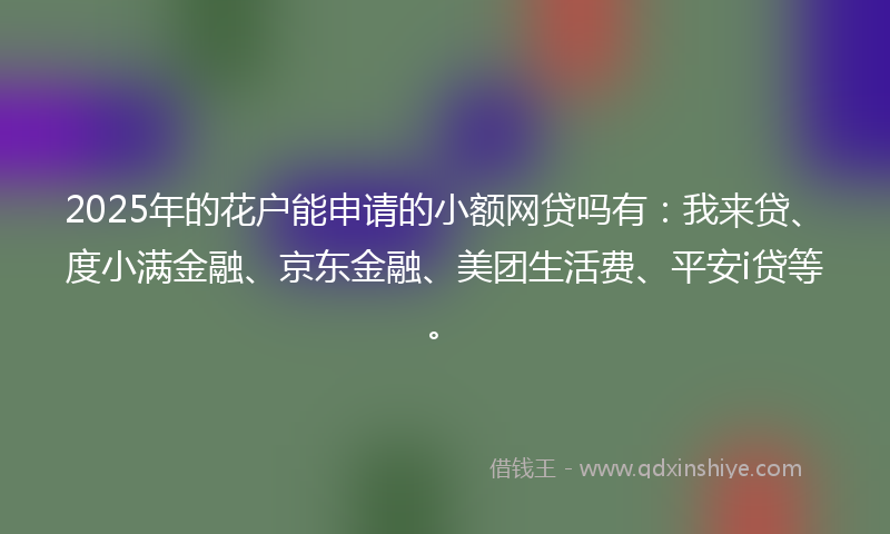 2025年的花户能申请的小额网贷吗有：我来贷、度小满金融、京东金融、美团生活费、平安i贷等。