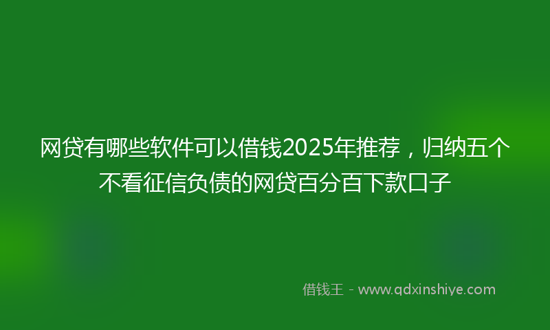 网贷有哪些软件可以借钱2025年推荐，归纳五个不看征信负债的网贷百分百下款口子